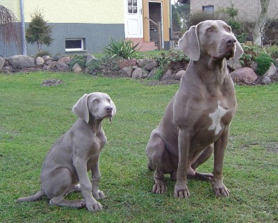 Ello von der Wartelshöhe (rechts)